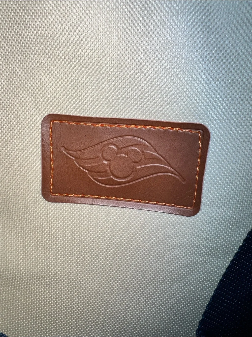 Disney Cruise Line Cooler Tote Bag Shoulder Strap Navy Tan 14 in x 12 in